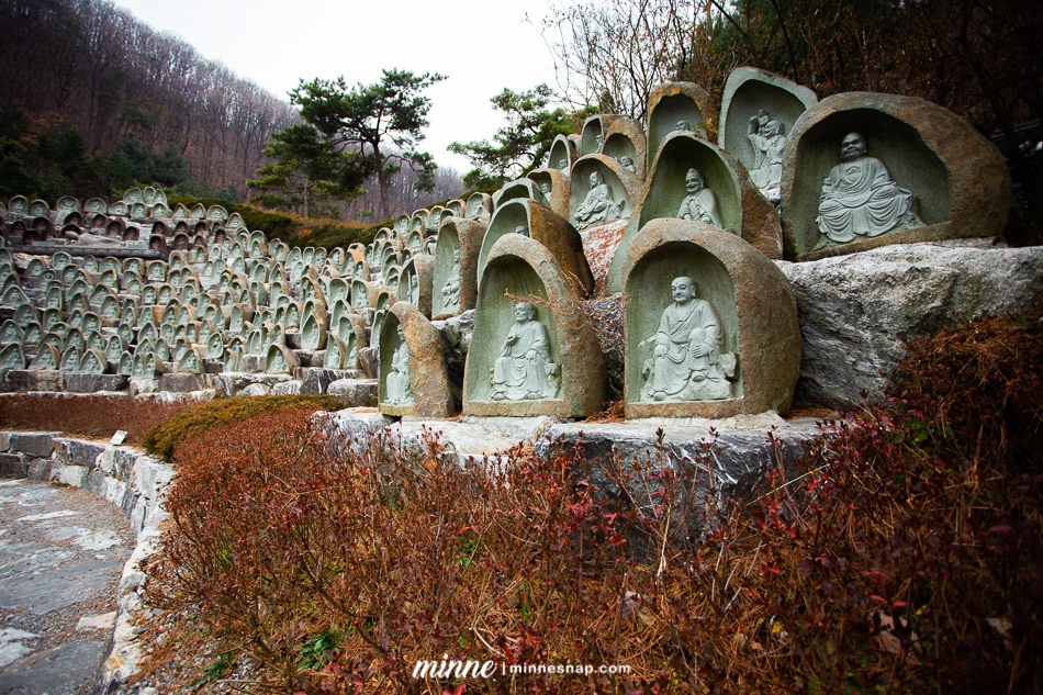 South Korea Photos Trip from 2011, Seoul, Nami island